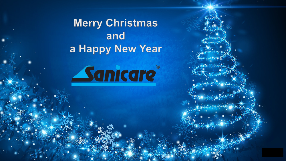 Merry Christmas and a Happy 2025